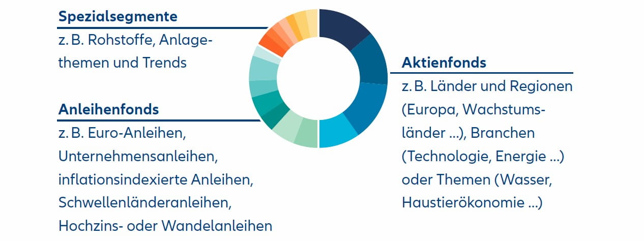 300-500 weltweite Titel in nur einem Produkt