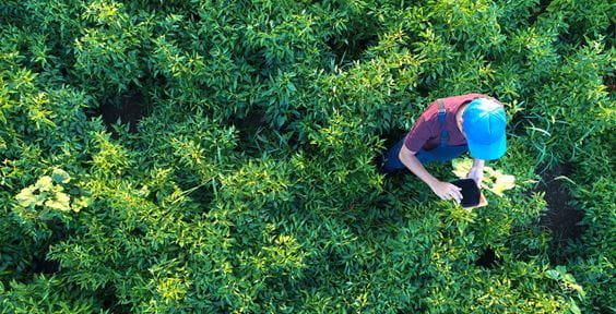 Bauer mit Tablet im Feld – Nachhaltige Geldanlage