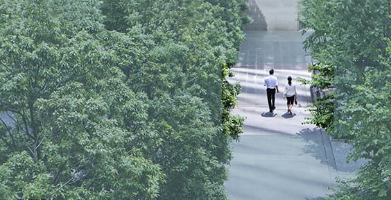 Two people walking between the trees