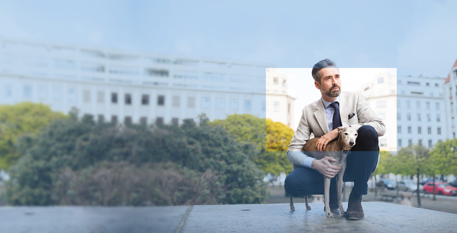 Allianz Pet and Animal Wellbeing 