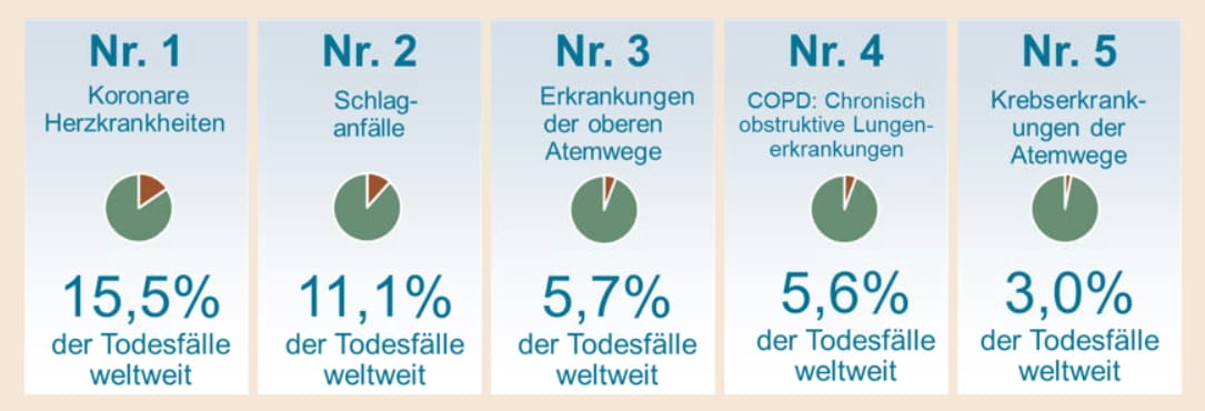 Infographik: Vermeidbare Todesursachen