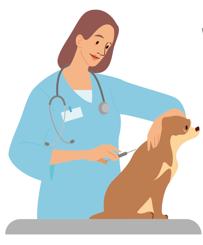 dog with veterinarian